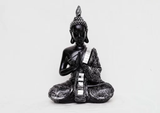 Black  Mirror Buddah